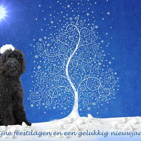 Google's eerste kerst (1)