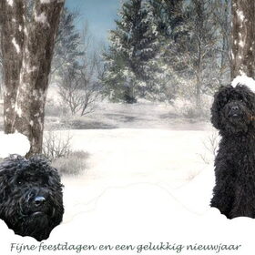 Google's eerste kerst (2)