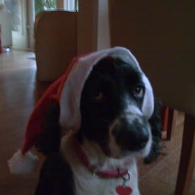 merry x-mas