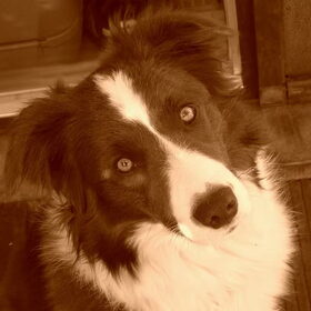 Zarah