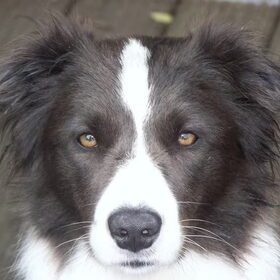 Stoere Zarah!