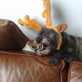 Chelsea in de kerstsfeer van 2010.