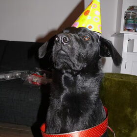 Kerstfeest!