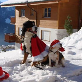 Happy Holidays