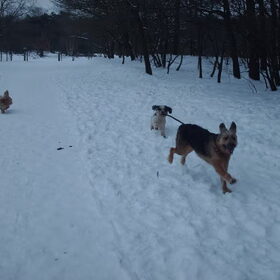 heerlijk die sneeuw