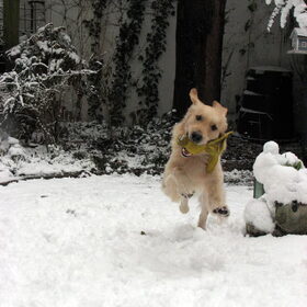 Dolle pret in de sneeuw!
