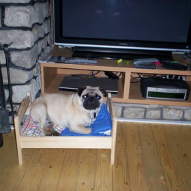 Bert in actie