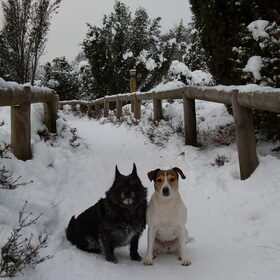 samen