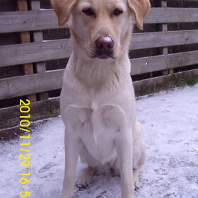 noa in de sneeuw in de tuin