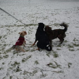 Spelen, yes!!