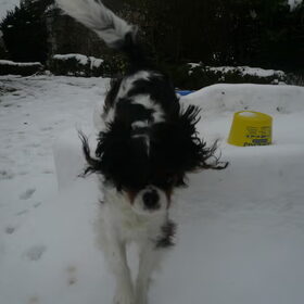 agility sneeuw muur
