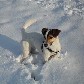 Wandelen in de sneeuw.