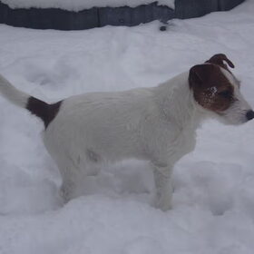 Ickx in de sneeuw