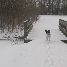 sneeuwpret