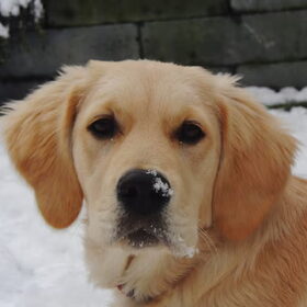 Kiki 'hartje' sneeuw