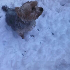 Let it snow.