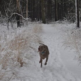 Fenna is gek op sneeuw