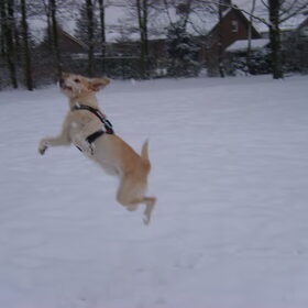 sneeuwpret