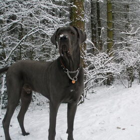 Mmmm sneeuw!