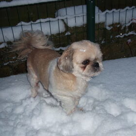 onze kleine meid in de sneeuw