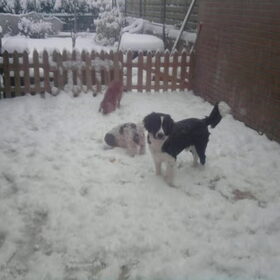samen in de sneeuw ja gezellig