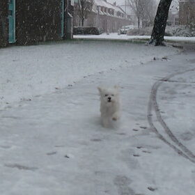 funny is gek op sneeuw