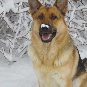 Kijk! ik heb sneeuw op mijn neus zitten! leuk he!