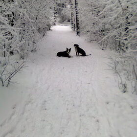 Gitta en Dirk in de sneeuw