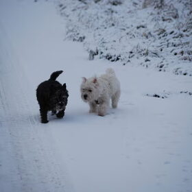Hier zie je Chelsea en Amy in de sneeuw.