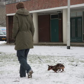 he saartje gaat aan de wandel