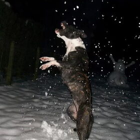 Het sneeuwt, het sneeeuwt,.. en tayka word nat!