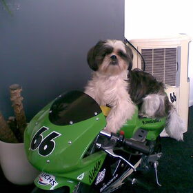 Max op zn eigen motor!