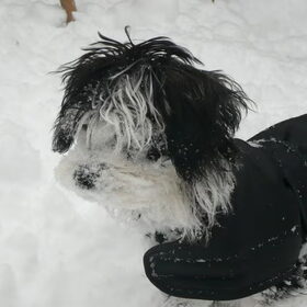 Sneeuw gesnuffeld!