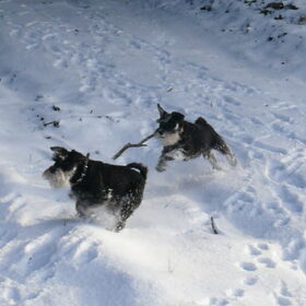 Ook Luna & Flo