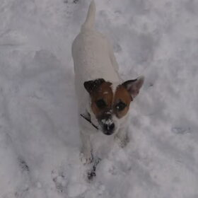 Femke in de sneeuw.