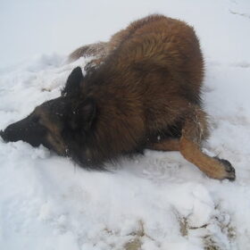 sneeuw op het strand? Nooit gezien, maar toch plezant !