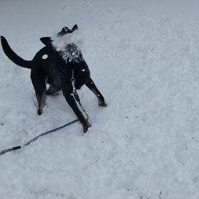 Roxy!