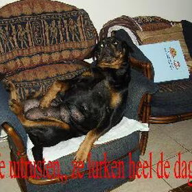 Purcy in ruststand
