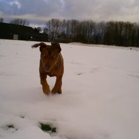 snow blast
