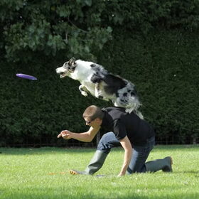 roy en joy op een dogfrisbee wedstrijd.