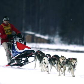 sneeuwtraining