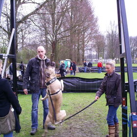 flirtpole