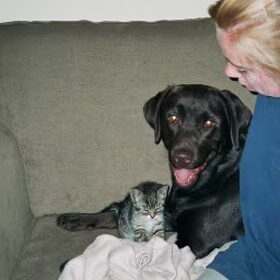 ik vind die heeeeeeeeel lief!