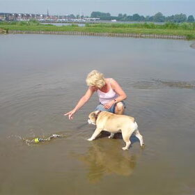 herplaatser noa wordt vertrouwd gemaakt met water