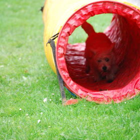Amy in de tunnel.