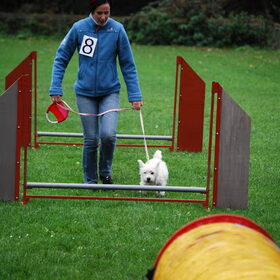 Amy aan het springen.