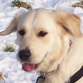 Luca :P