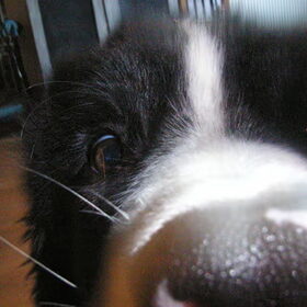 Wat is dat?????