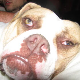ons coco die wakker wordt