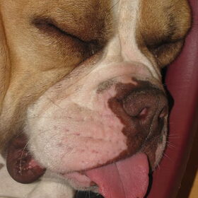 toen was ze moe se